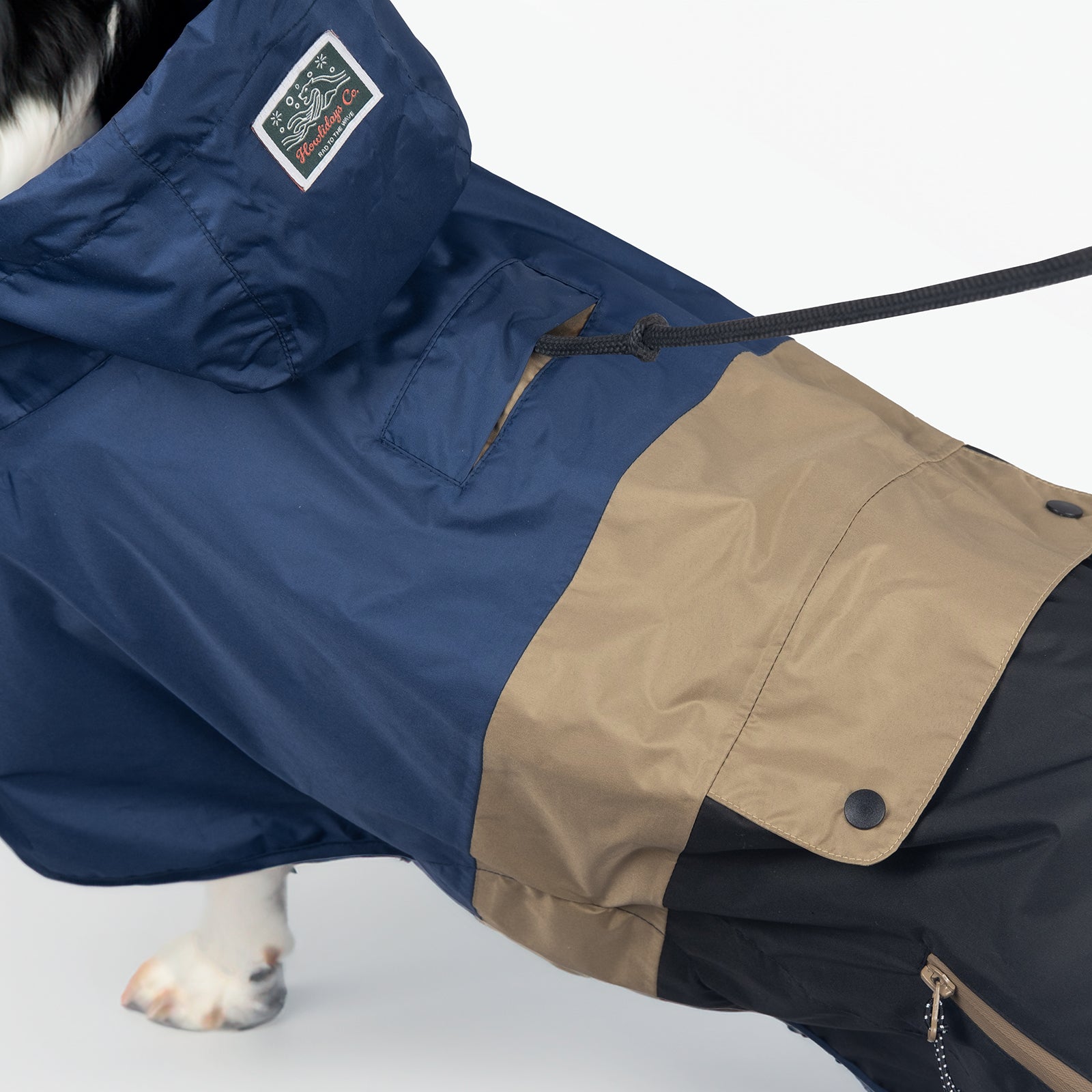 Back view of the Baja Coastline dog raincoat featuring a secure leash opening, ideal for keeping dogs dry while using a harness.