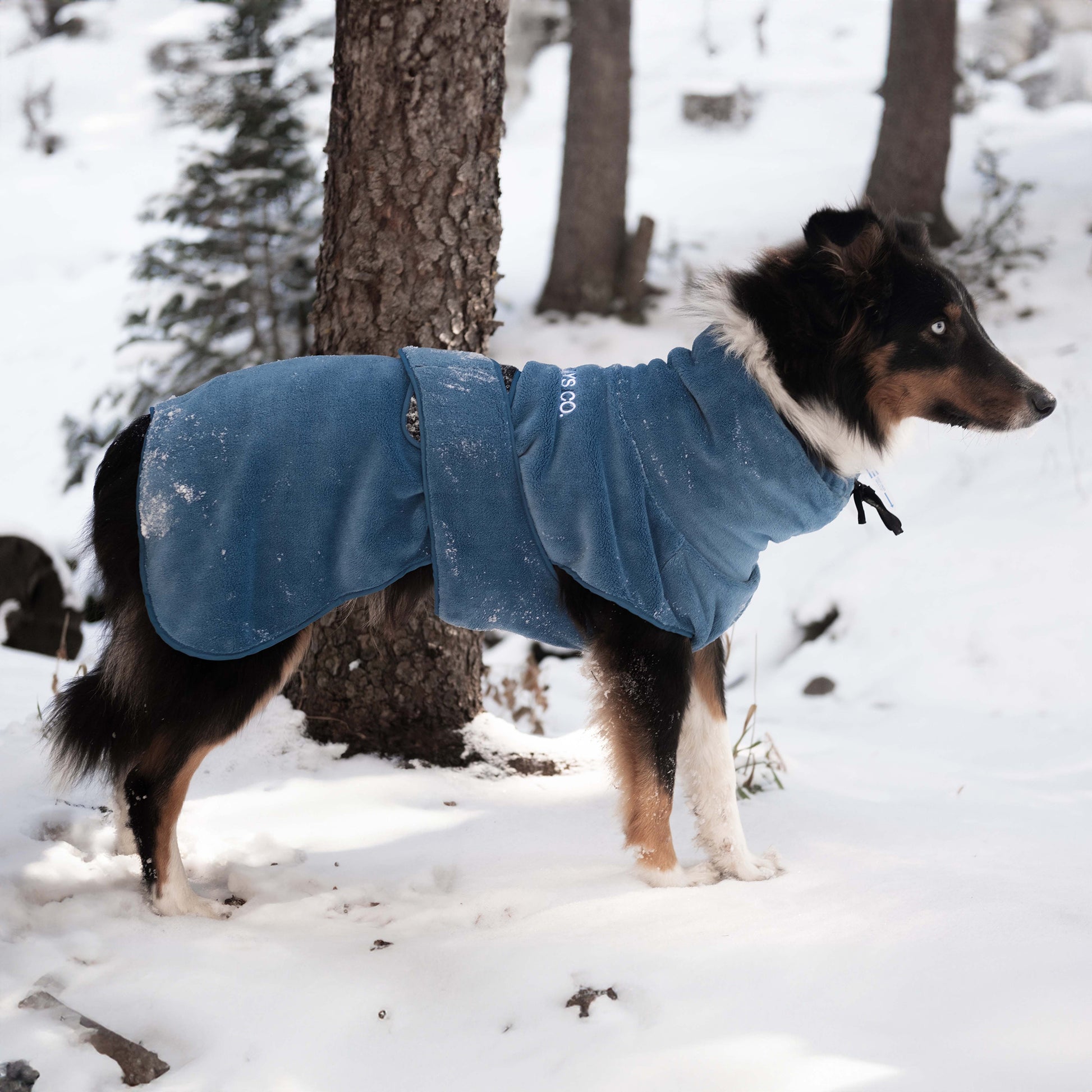 A cold-weather dog fleece jacket with adjustable straps, providing insulation and comfort for dogs exploring winter landscapes.