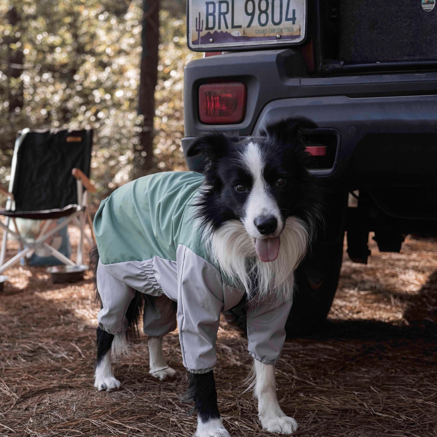 Dog's Havasu Water-Repellent Jacket